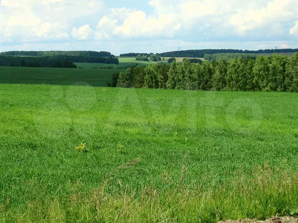 Участок 19,1 сот. (СНТ, ДНП) - Фото 1