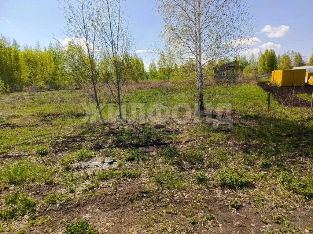 Участок в Новосибирская область, Новосибирск  (5.0 сот.) - Фото 1