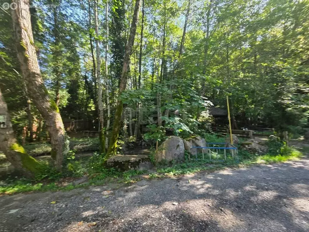 Участок в Краснодарский край, городской округ Сочи, село Васильевка, ... - Фото 0