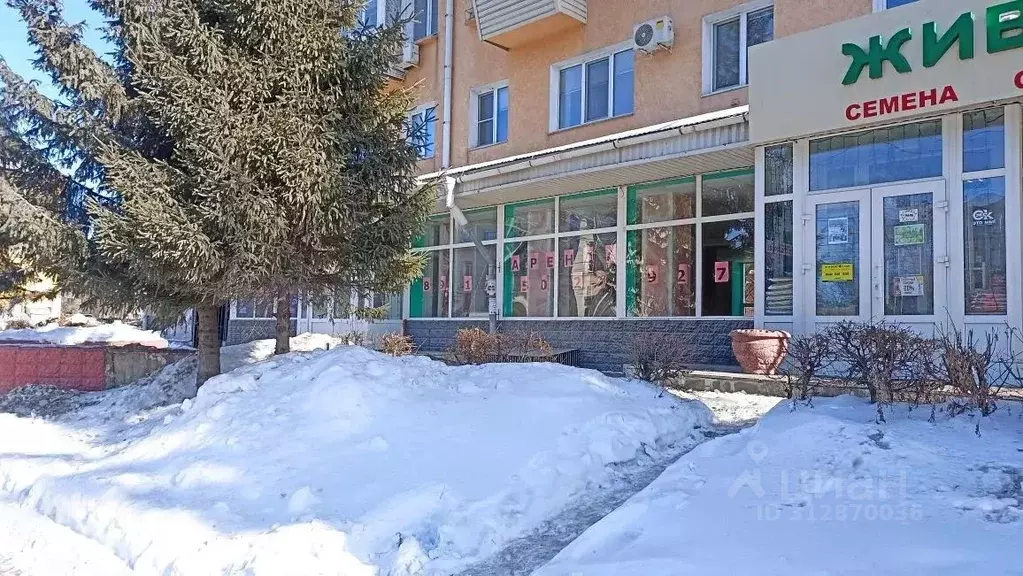 Торговая площадь в Омская область, Омск просп. Карла Маркса, 83 (121 ... - Фото 1