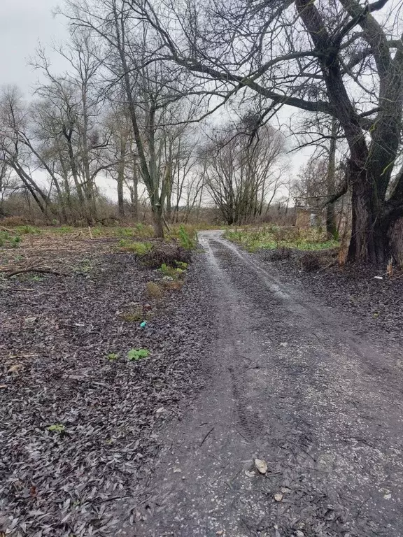 Участок в Калужская область, Козельский муниципальный округ, Подборки ... - Фото 2