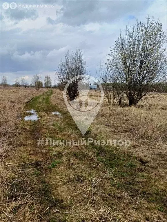 Участок в Окское сельское поселение (55 м) - Фото 1