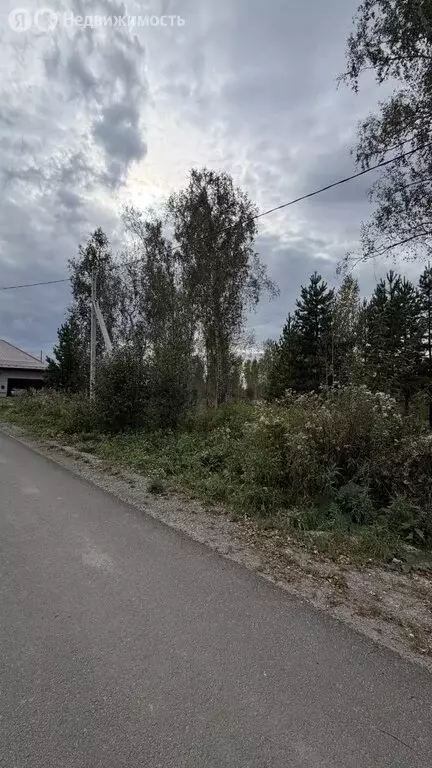 Участок в Челябинская область, Пласт (12 м) - Фото 1