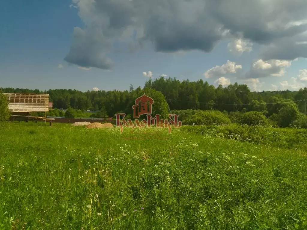 Продается участок в СНТ Натальино - Фото 0