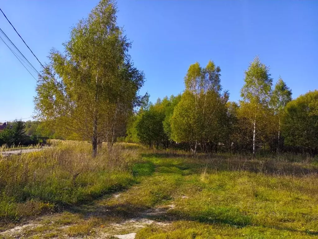 Участок в Московская область, Домодедово городской округ, с. ... - Фото 1