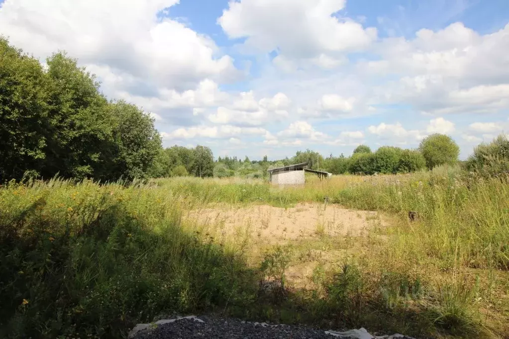 Участок в Вологодская область, Череповецкий район, д. Ирдоматка  ... - Фото 1