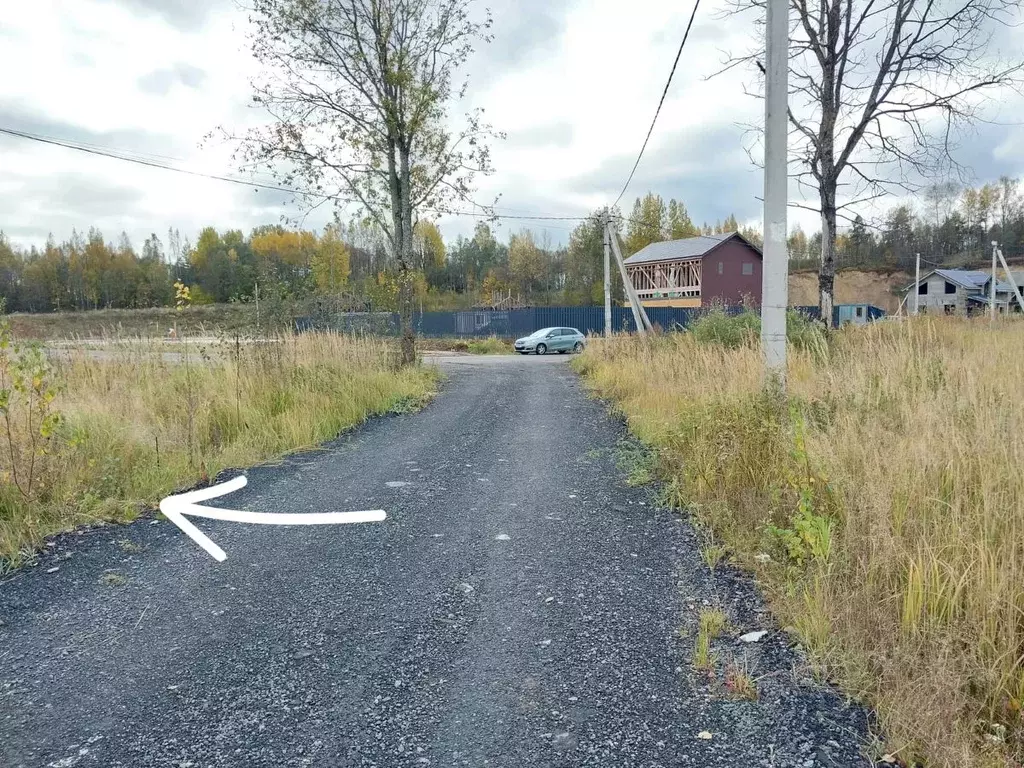 Участок в Ленинградская область, Всеволожский район, Колтушское ... - Фото 1