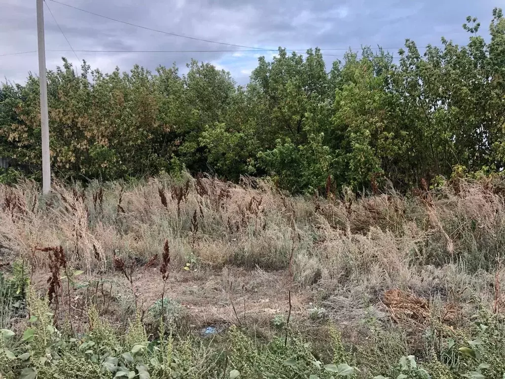 Участок в Саратовская область, Энгельсский район, Новопушкинское ... - Фото 0