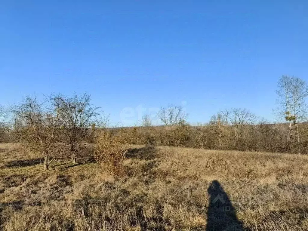Участок в Адыгея, Майкопский район, Победенское с/пос, Шаумян хут.  ... - Фото 2
