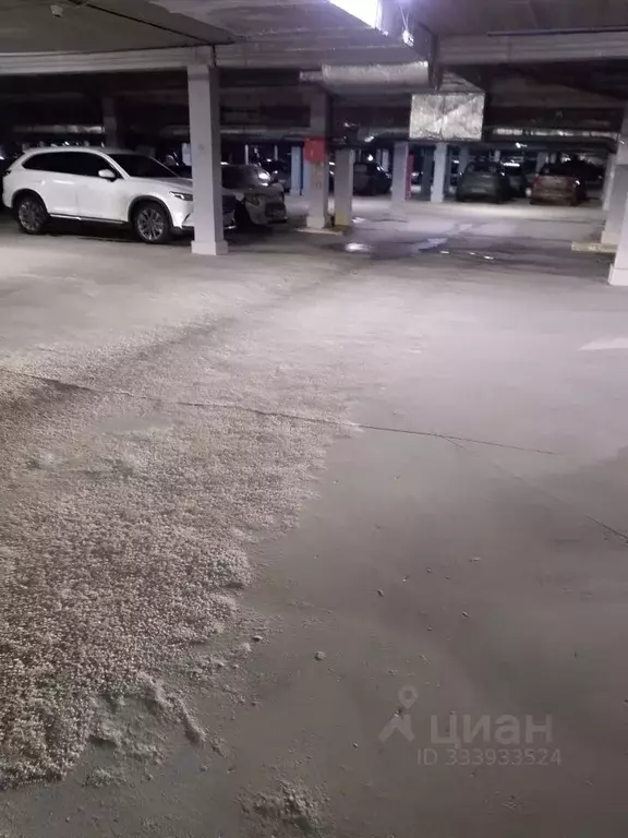 Гараж в Московская область, Солнечногорск городской округ, Голубое пгт ... - Фото 2