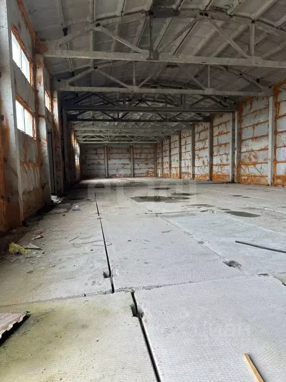 Склад в Ямало-Ненецкий АО, Новый Уренгой А панель,  (1296 м) - Фото 1