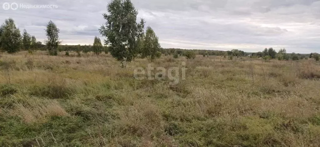 Участок в Быстровский сельсовет, посёлок Тула (1876.4 м) - Фото 1