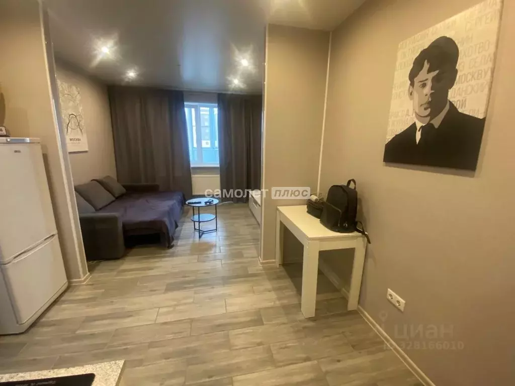 Студия Московская область, Старая Купавна Богородский городской округ, ... - Фото 1