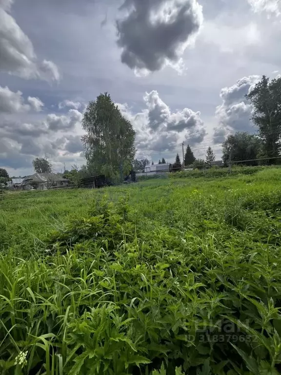 Участок в Нижегородская область, Богородский муниципальный округ, с. ... - Фото 0