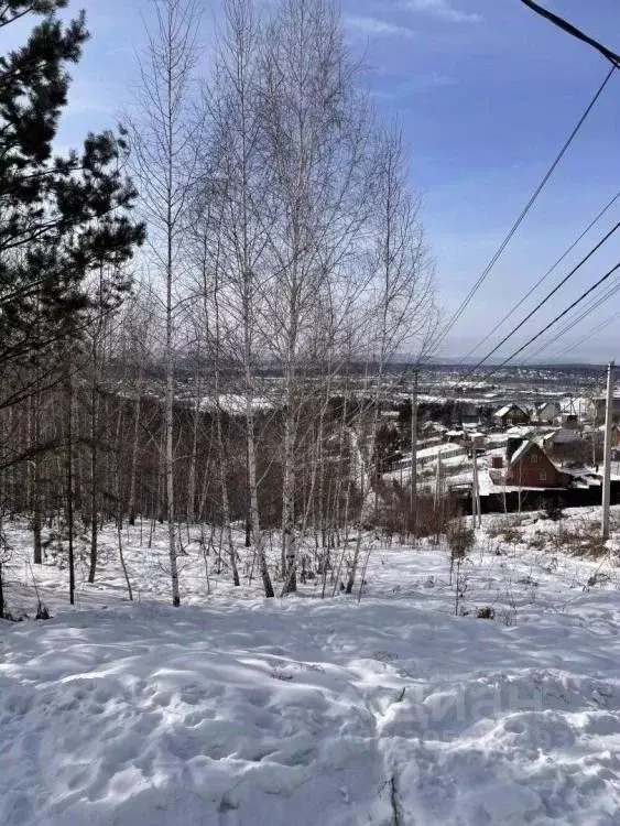 Участок в Иркутская область, Иркутский район, Маркова рп, Птица ТСН ... - Фото 1