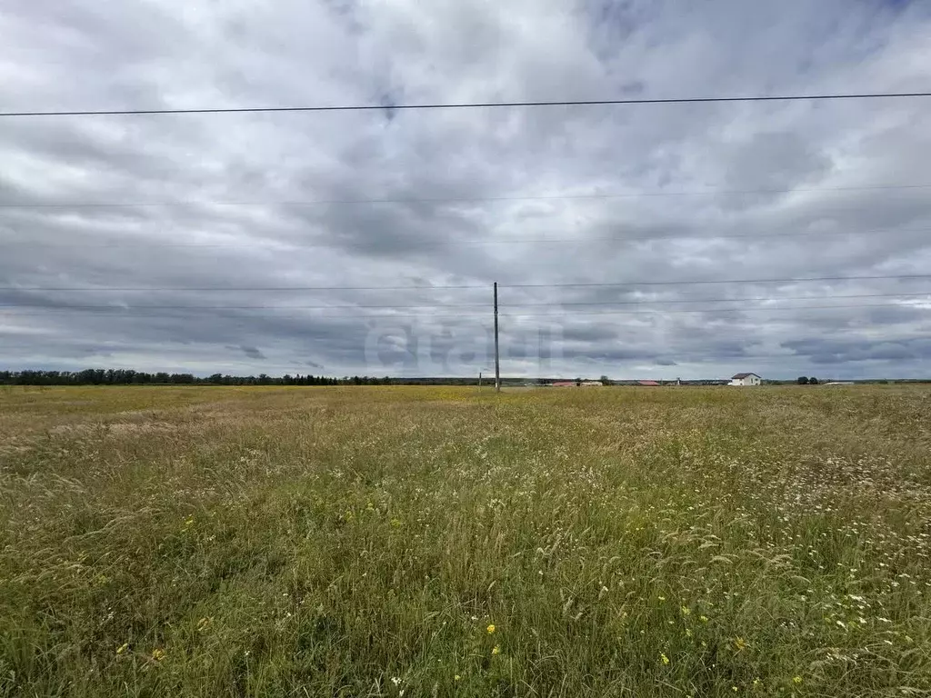 Участок в Калужская область, Малоярославецкий муниципальный округ, д. ... - Фото 1