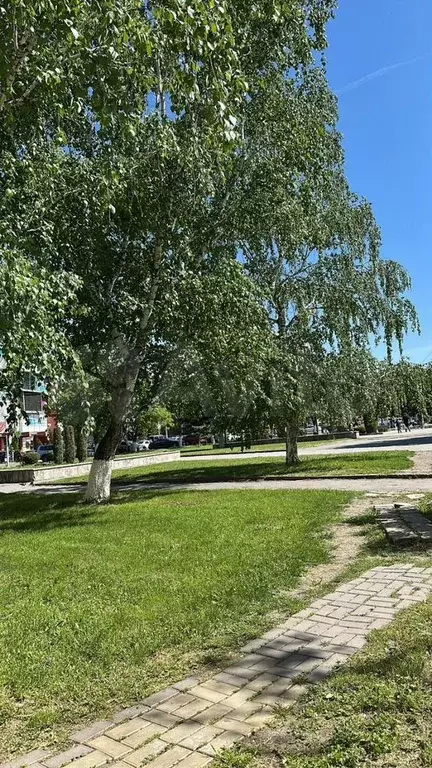 Участок 30 сот. (ИЖС) - Фото 1