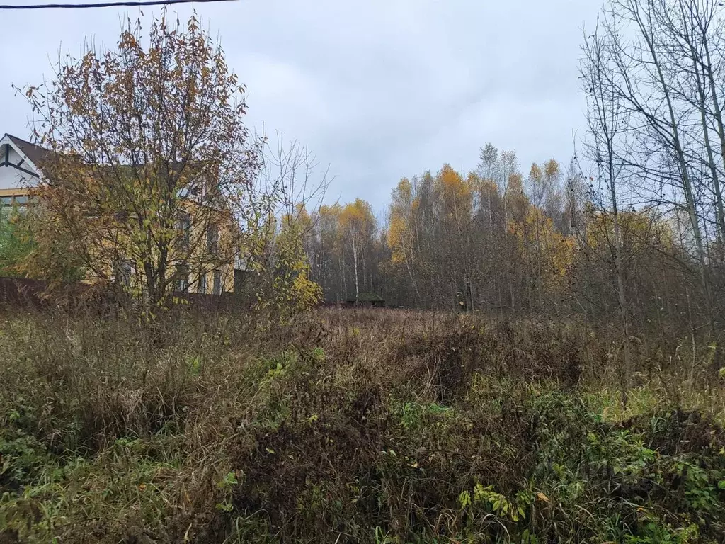 Участок в Московская область, Раменский муниципальный округ, д. ... - Фото 1