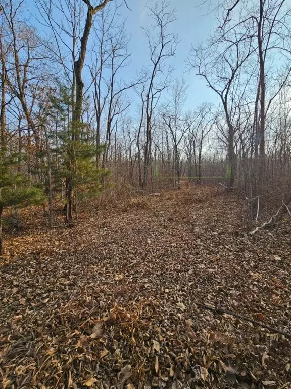 Участок в Приморский край, Владивосток ул. Лесопитомник, 3А (7.16 ... - Фото 2