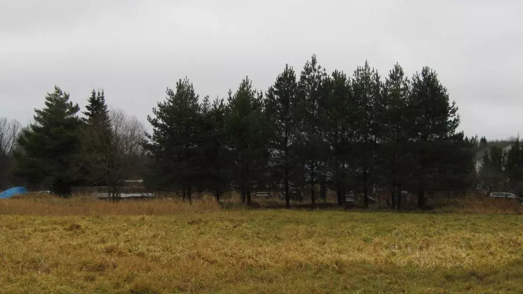 Участок в Московская область, Рузский муниципальный округ, д. Лидино  ... - Фото 1