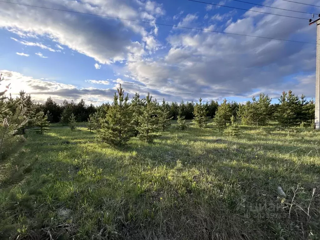 Коттедж в Свердловская область, Белоярский муниципальный округ, д. ... - Фото 1