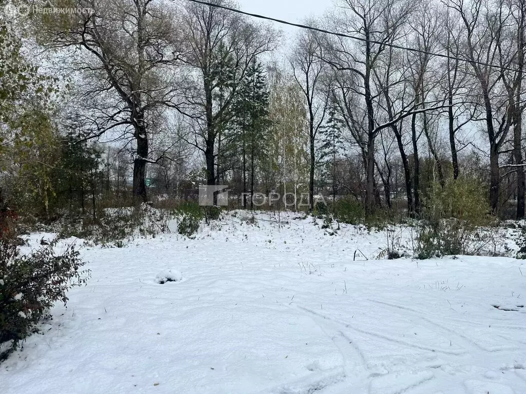 Участок в Криводановский сельсовет, садоводческое некоммерческое ... - Фото 1