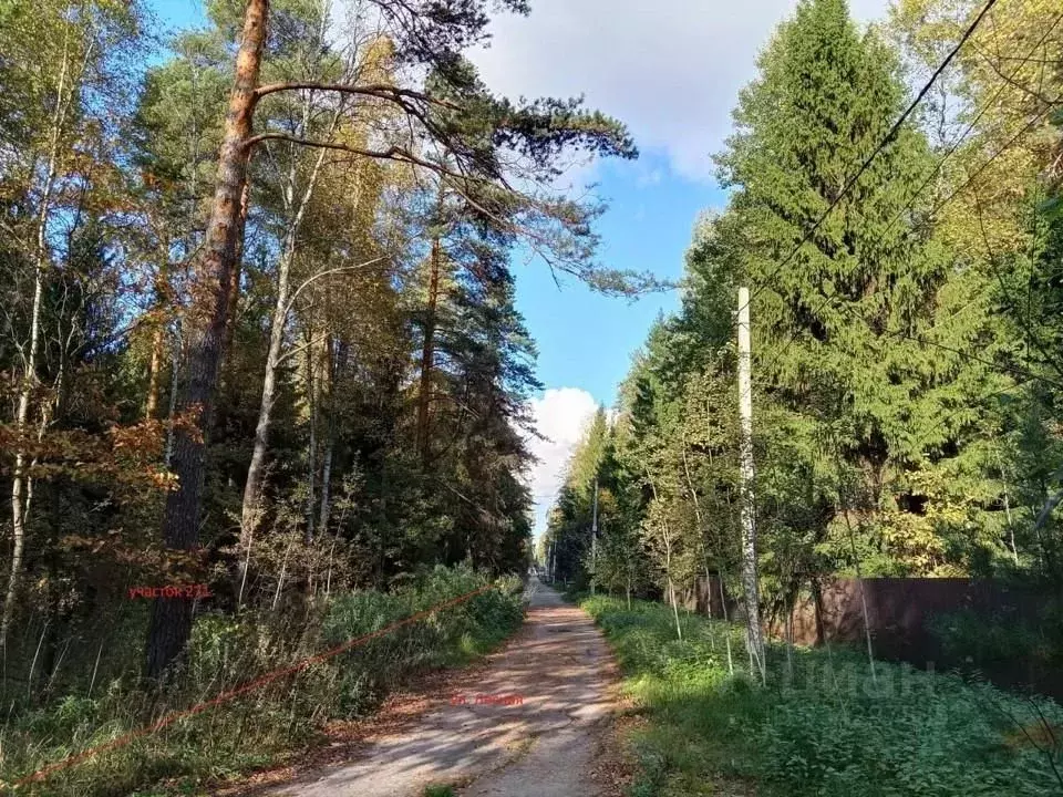 Участок в Московская область, Раменский муниципальный округ, пос. ... - Фото 2