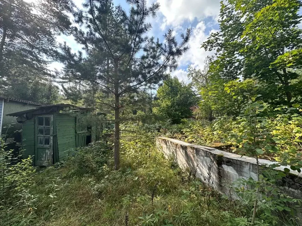 дом в ленинградская область, приозерский район, сосновское с/пос, . - Фото 1