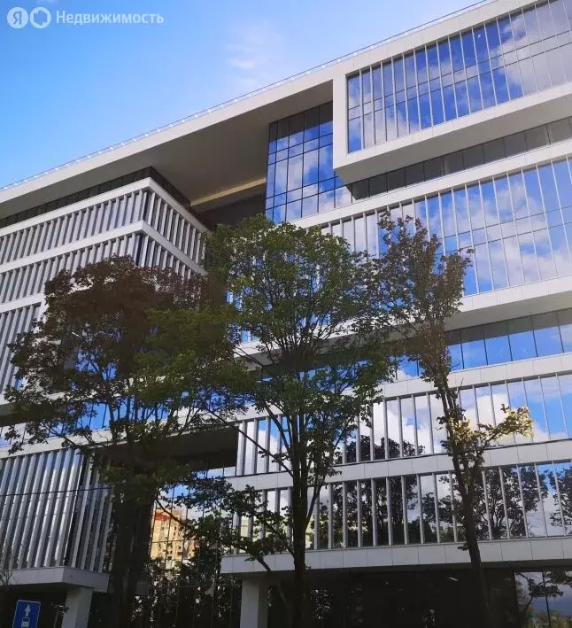 Офис (700 м) - Фото 1