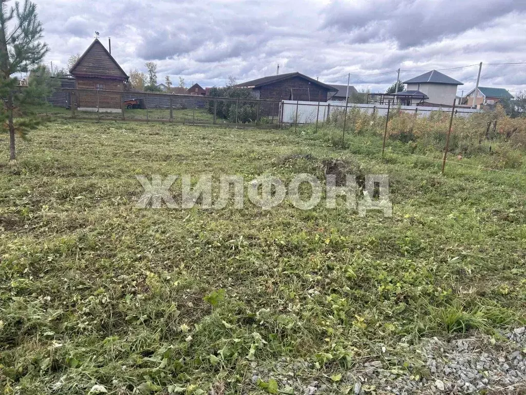 Участок в Новосибирская область, Новосибирский район, Кубовинский ... - Фото 0