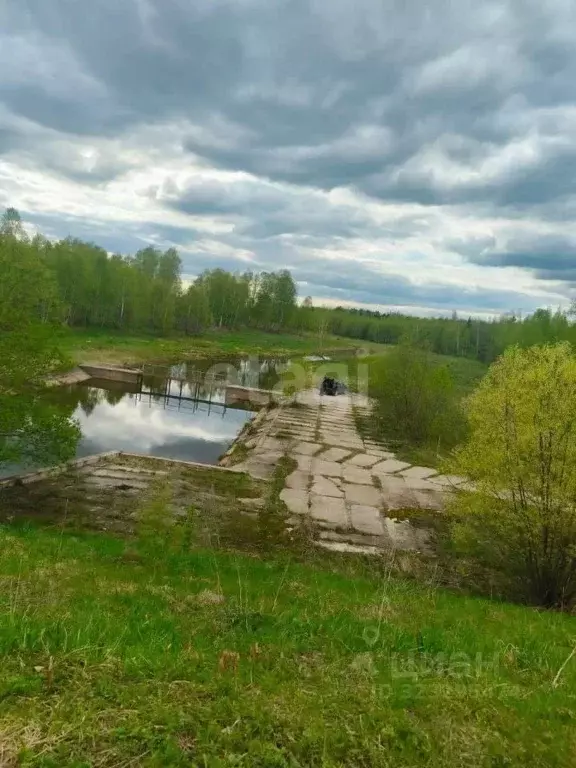 Участок в Калужская область, Малоярославецкий муниципальный округ, ... - Фото 1