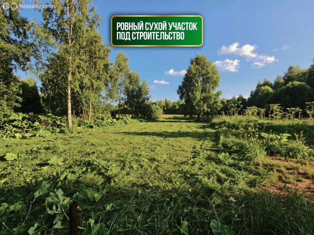 Участок в деревня Старая Руза, Берёзовая улица (20 м) - Фото 2