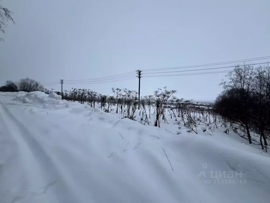 Участок в Коми, Сыктывдинский район, с. Выльгорт ул. Совхозная (10.0 ... - Фото 0