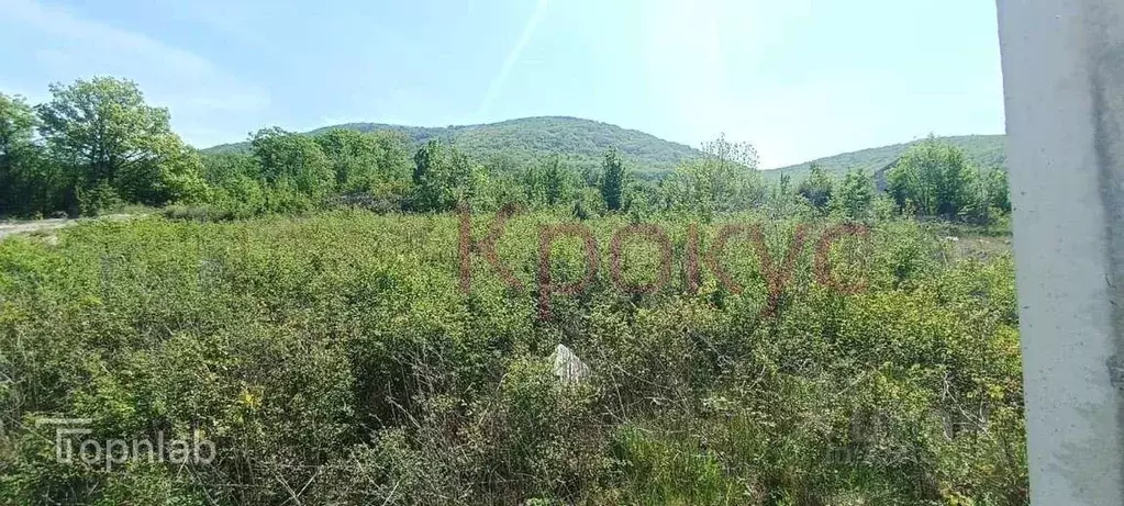 Участок в Краснодарский край, Новороссийск городской округ, с. ... - Фото 1