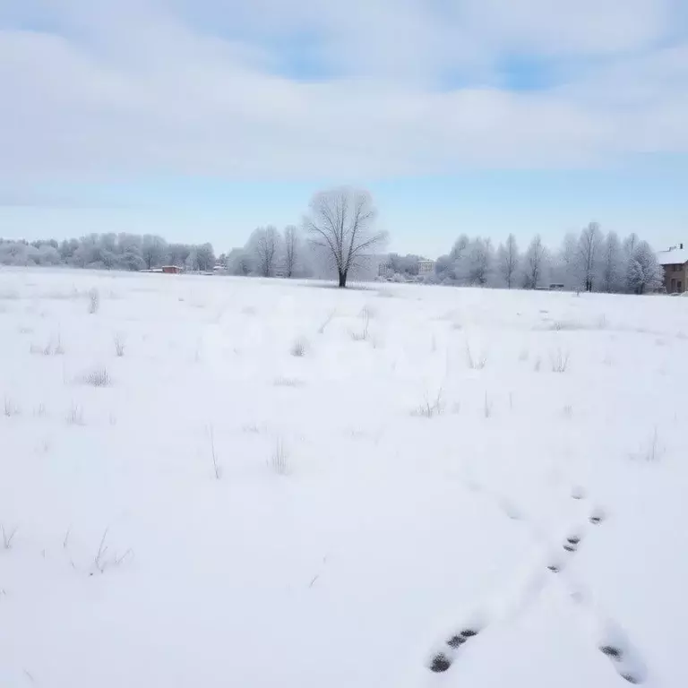 Участок в Тульская область, Щекинский район, Лазаревское с/пос, с. ... - Фото 1