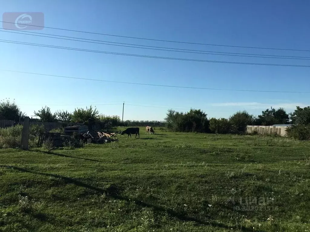 Участок в Воронежская область, Новоусманский район, с. Орлово ул. ... - Фото 1