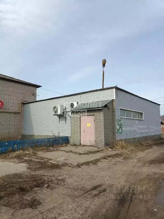 Торговая площадь в Нижегородская область, Бор городской округ, с. ... - Фото 1