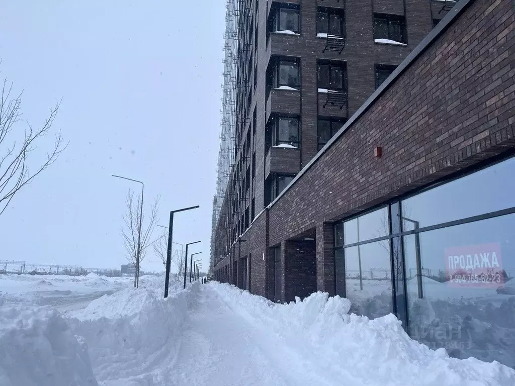 Помещение свободного назначения в Татарстан, Казань ул. Ярышлар, 8 (52 ... - Фото 1