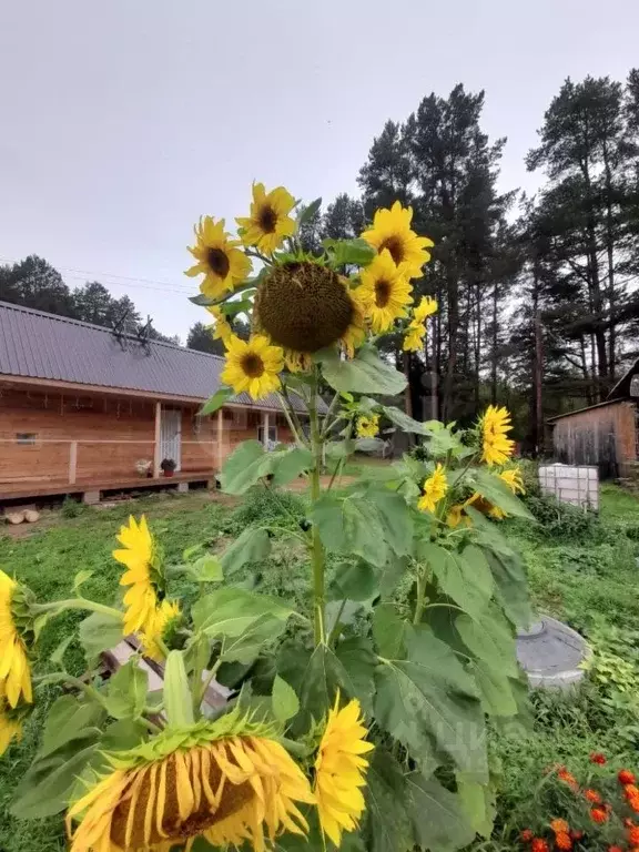 Дом в Архангельская область, Котласский муниципальный округ, д. ... - Фото 1