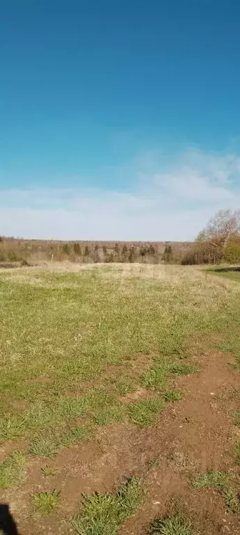 Участок в Ярославская область, Тутаевский муниципальный округ, д. ... - Фото 1