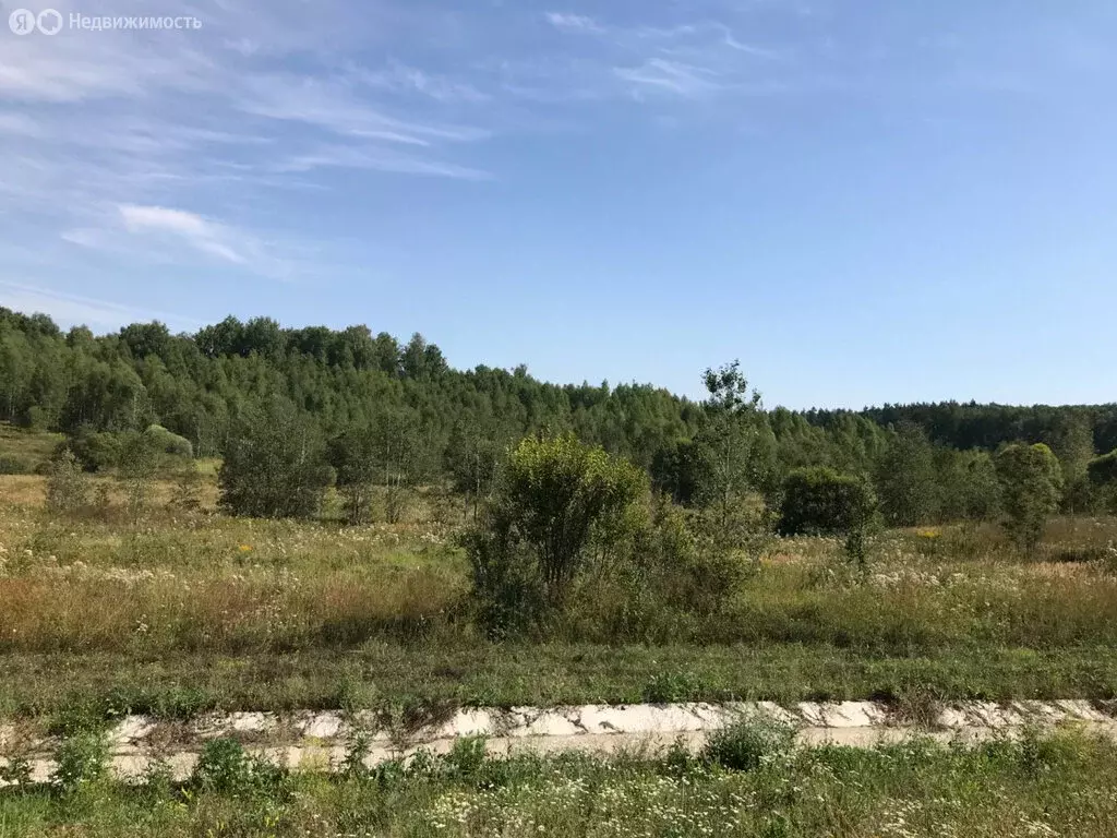 Участок в Заокский район, сельское поселение Демидовское (1600 м) - Фото 1