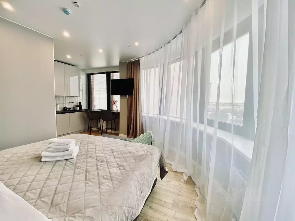 Студия Санкт-Петербург просп. Энергетиков, 2к2 (30.0 м) - Фото 1