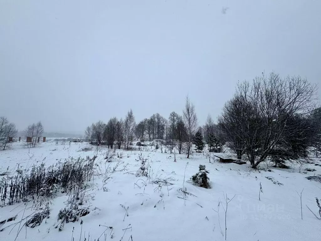 Участок в Московская область, Солнечногорск городской округ, д. Новая  ... - Фото 0