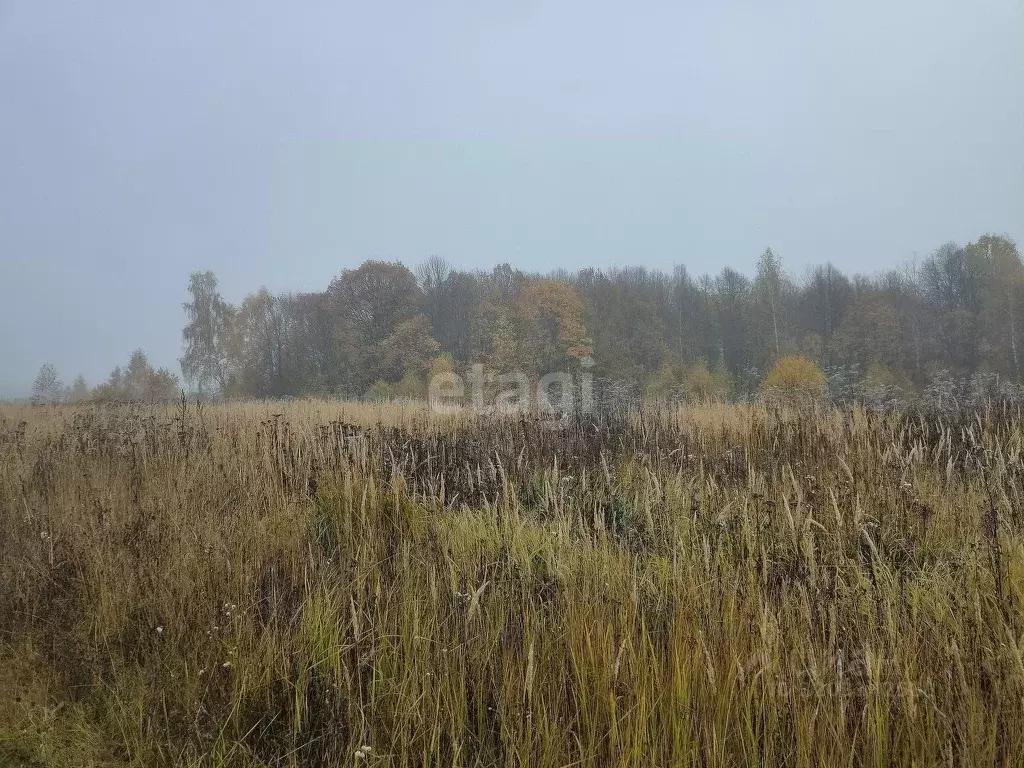 Участок в Калужская область, Калуга городской округ, д. Лихун  (14.14 ... - Фото 2
