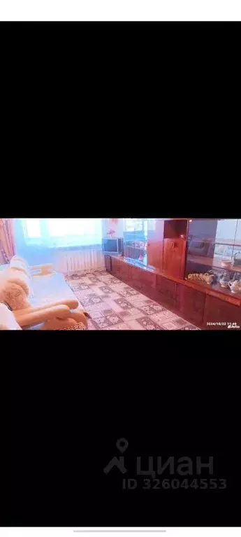 2-к кв. Белгородская область, Строитель Яковлевский городской округ, ... - Фото 2