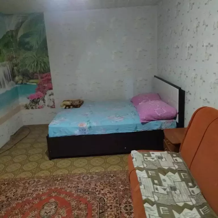 1-к кв. Татарстан, Заинск ул. Строителей, 14 (33.0 м) - Фото 2