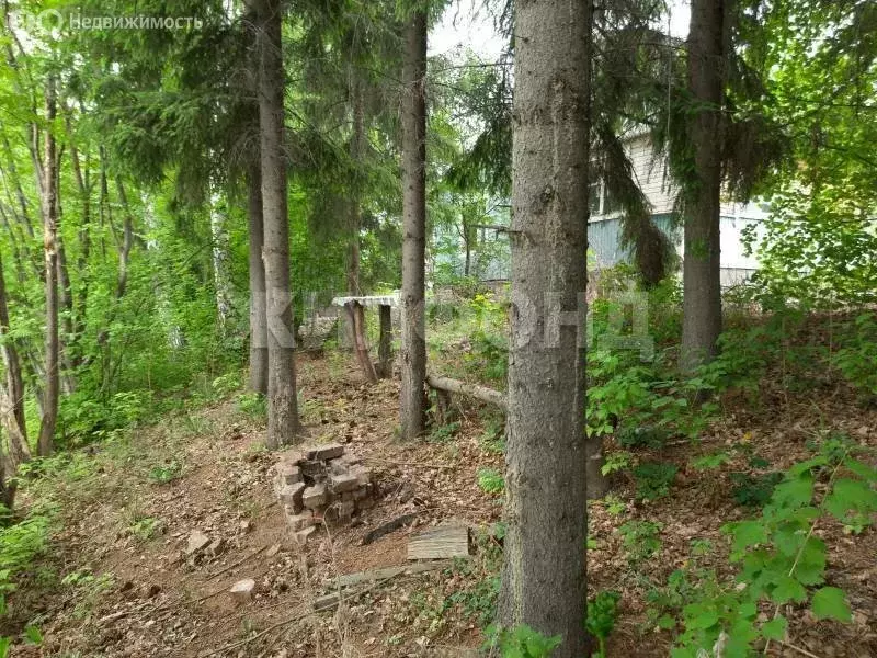 Дом в Колыванский район, СНТ Электрон, улица Охотный Ряд (80 м) - Фото 2