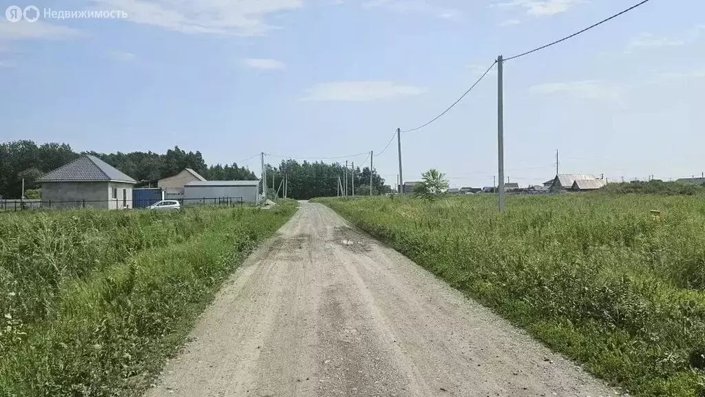 Участок в Тюменский район, село Борки (24.5 м) - Фото 1