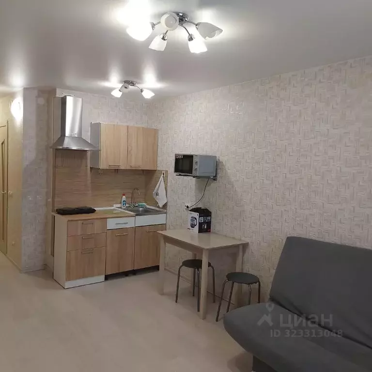 Студия Свердловская область, Екатеринбург ул. Рощинская, 28 (24.0 м) - Фото 1