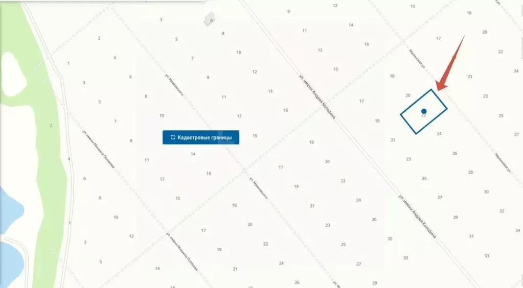 Участок в Тамбовская область, Тамбовский муниципальный округ, д. ... - Фото 2